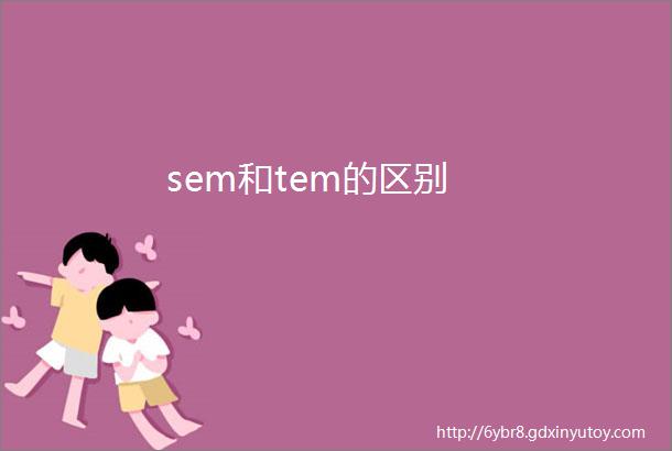 sem和tem的区别