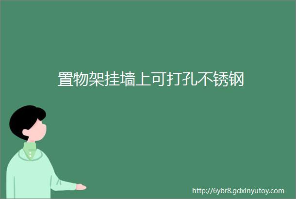 置物架挂墙上可打孔不锈钢