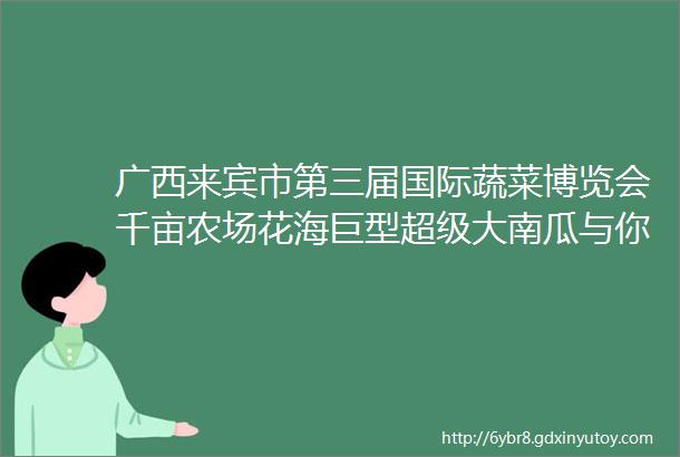 广西来宾市第三届国际蔬菜博览会千亩农场花海巨型超级大南瓜与你相约