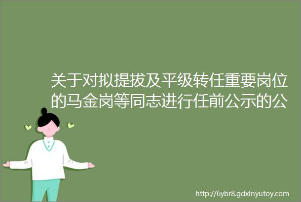 关于对拟提拔及平级转任重要岗位的马金岗等同志进行任前公示的公告