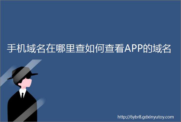 手机域名在哪里查如何查看APP的域名